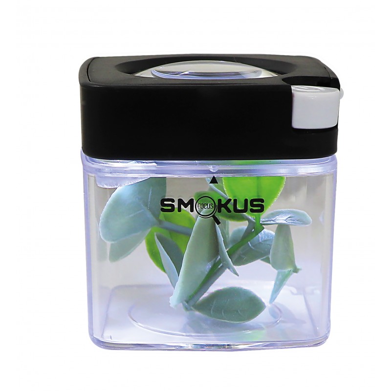 Smokus Focus Comet Negro